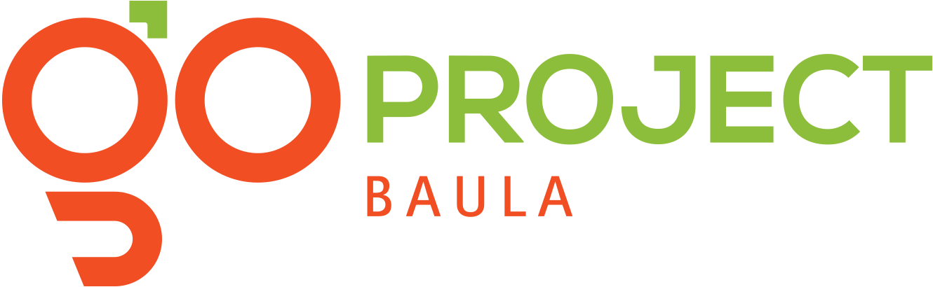 GoProject Baula
